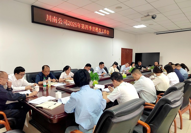10.13 [網(wǎng)站]川南公司召開(kāi)2025年第四季度稽查工作會(huì).jpg